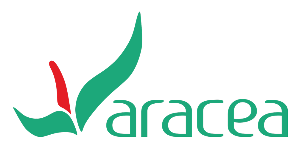 Aracea